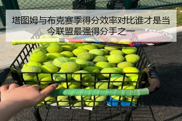 塔图姆与布克赛季得分效率对比谁才是当今联盟最强得分手之一