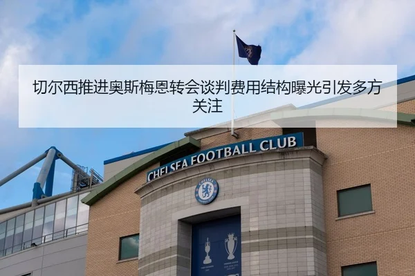 切尔西推进奥斯梅恩转会谈判费用结构曝光引发多方关注 - kaiyun